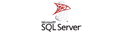 Logo SQL Server
